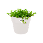 b.for original rond mini 11cm blanc